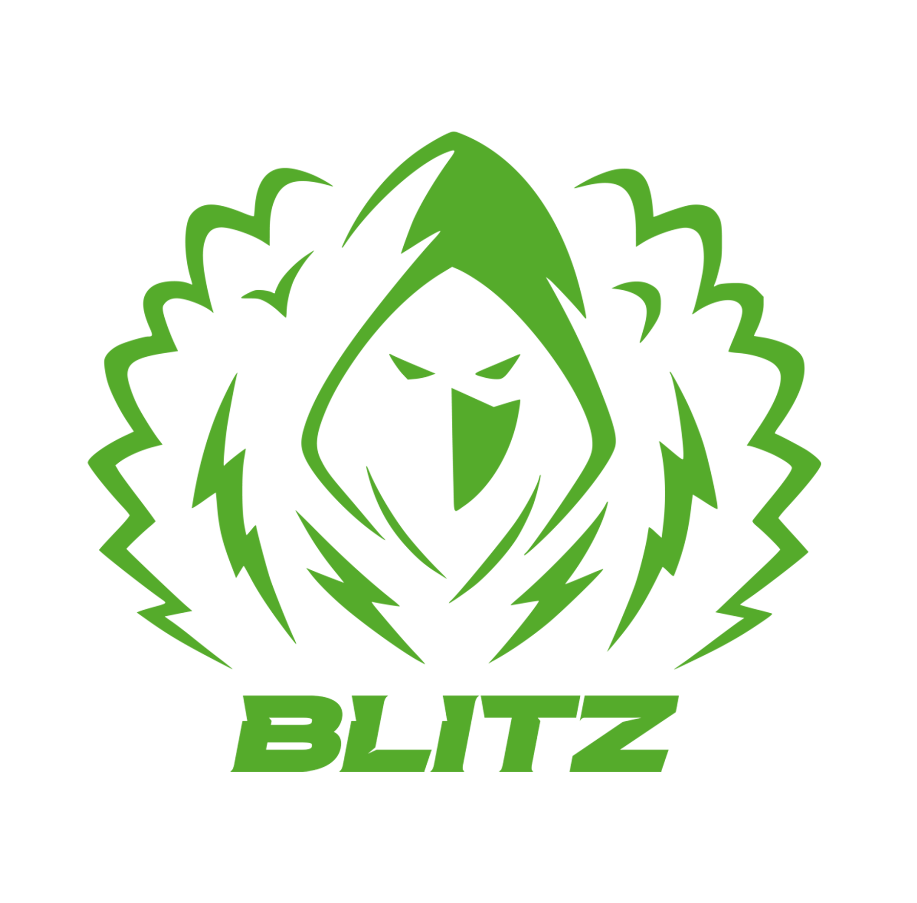 Bl!tz